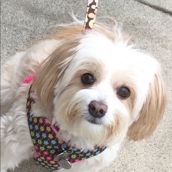 10% off 3 or more items. - Picture 5 of 6